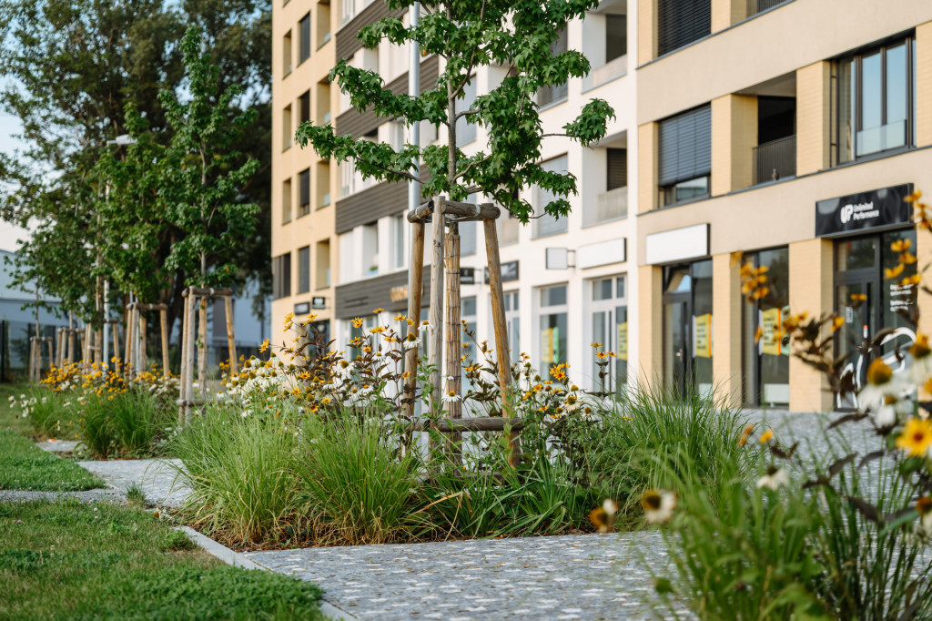 Zlepšujeme mikroklima v lokalitách