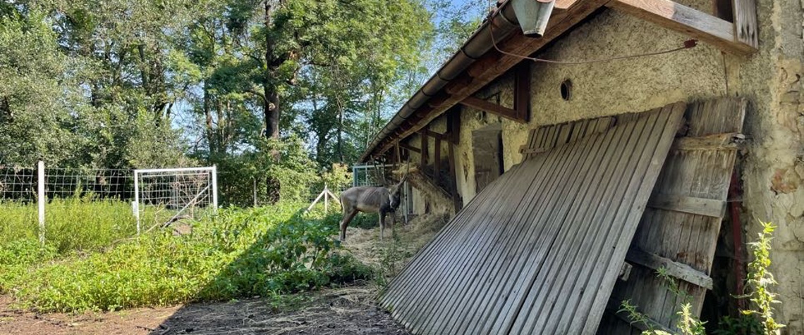 Výlet: Milíčovský les Výlet: Milíčovský les