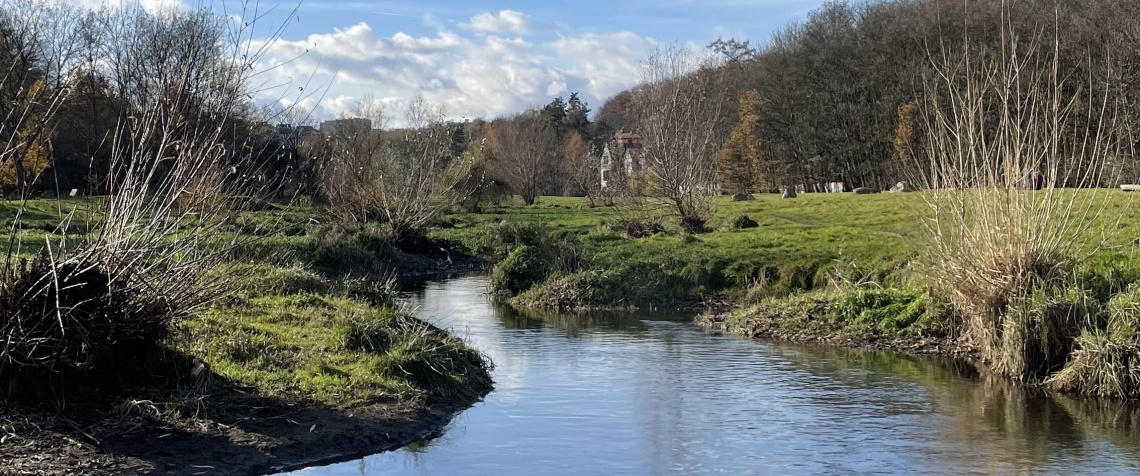 Výlet: Meandry Rokytky