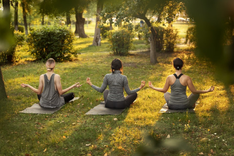 Yoga in the Garden