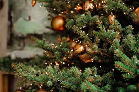 Lighting of the Christmas Tree at Novovysočanská