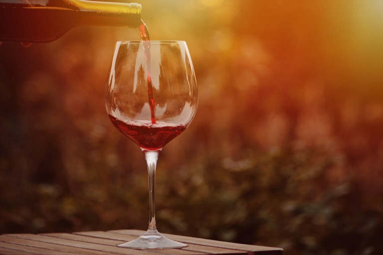 Oslava svatomartinských vín