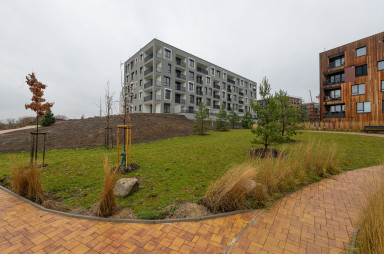 under construction - November