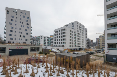 Under construction - January 2026