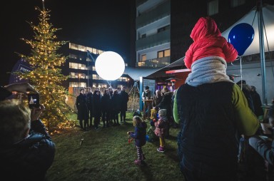 Advent 8