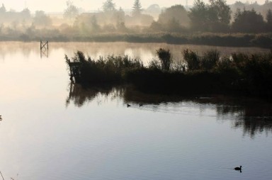 Slatina pond