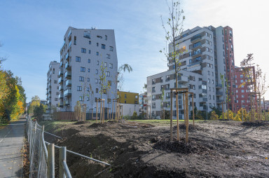 Stavba, září 2023