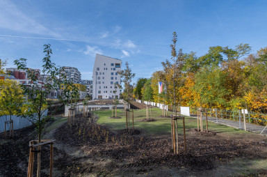 Stavba, září 2023